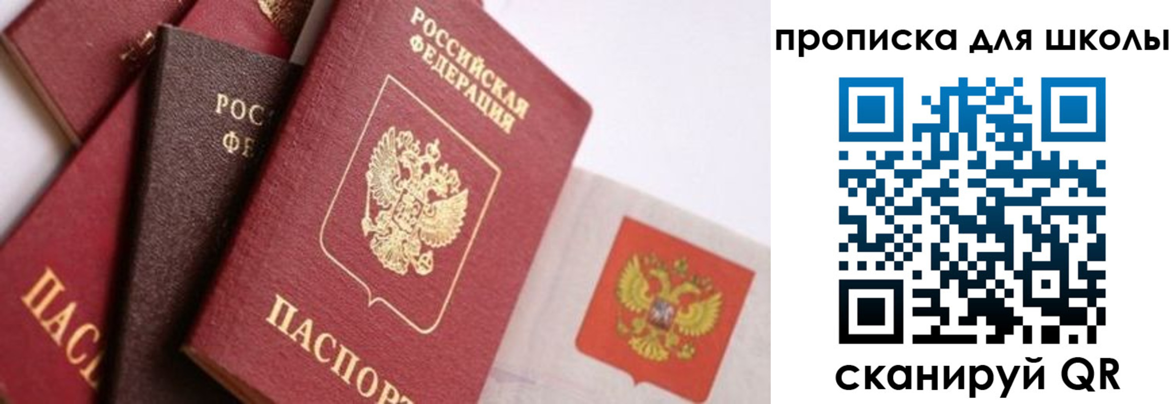 прописка поиск в Опочке